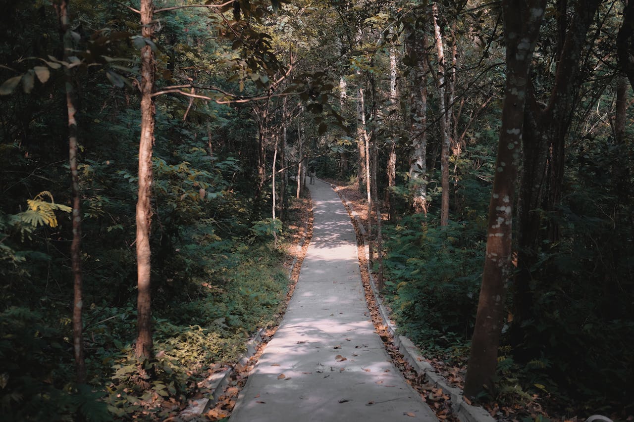 nature-based spirituality